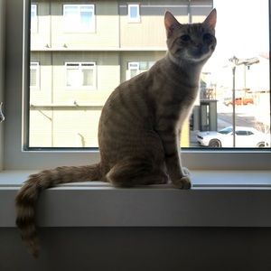 Meet your Posher, Leah